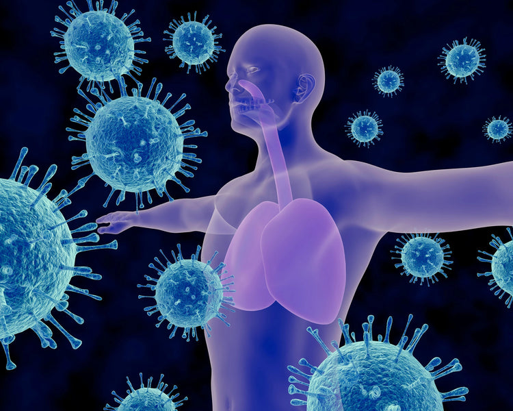 Immune Support