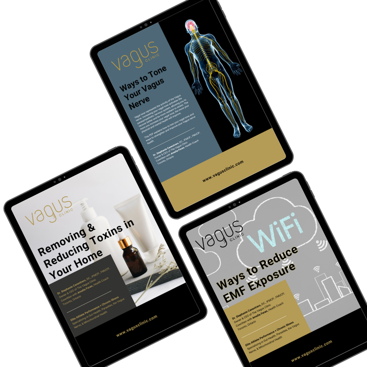 3 digital guides on white background