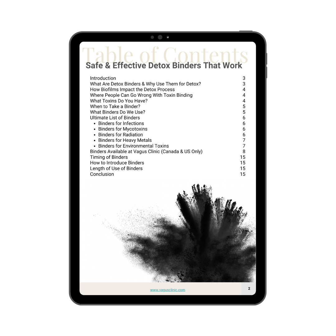 Detox Binder Guide (Digital Download)