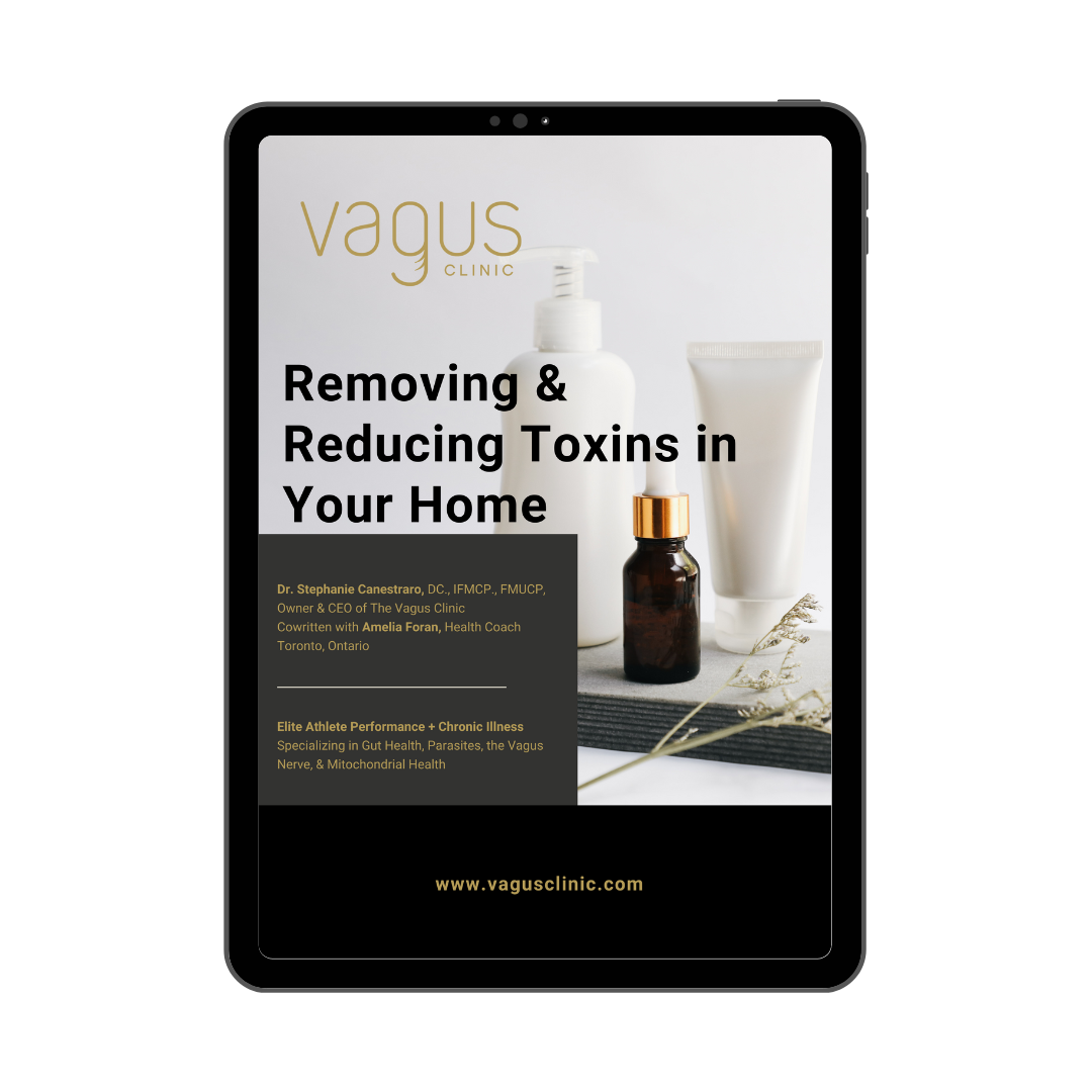 Removing & Reducing Toxins in Your Home (FREE Digital Download)