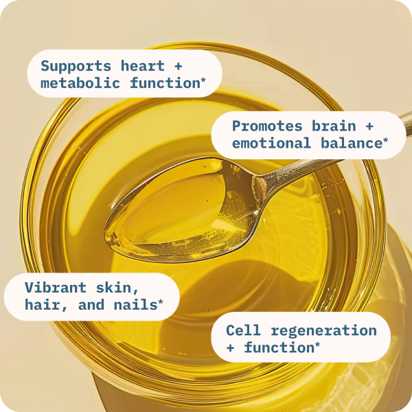 Balance Oil (Omega 6 + 3) Softgels
