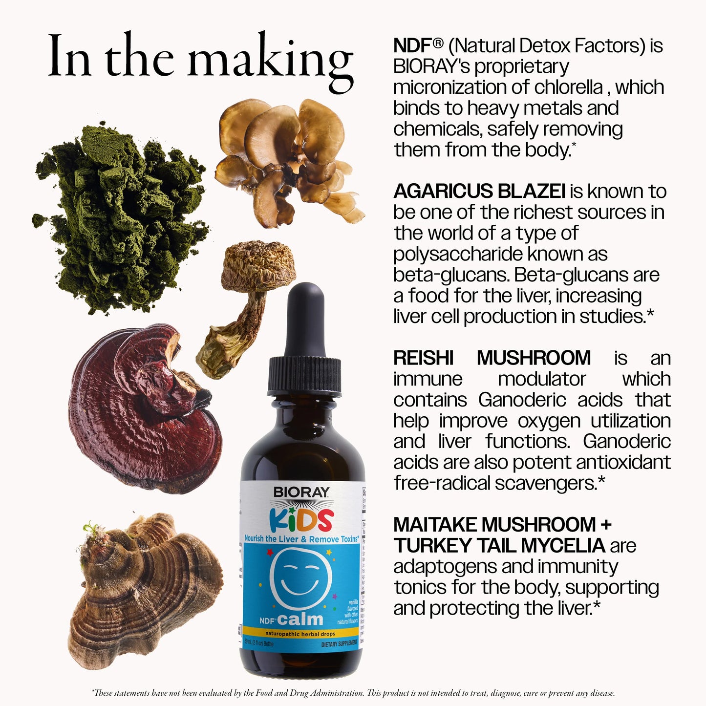 Bioray Kids supplement bottle with natural ingredients and text about NDF and Bioray products.
