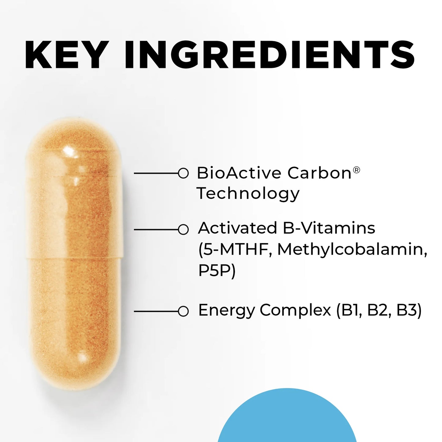 Supplement capsule with listed key ingredients on a white background