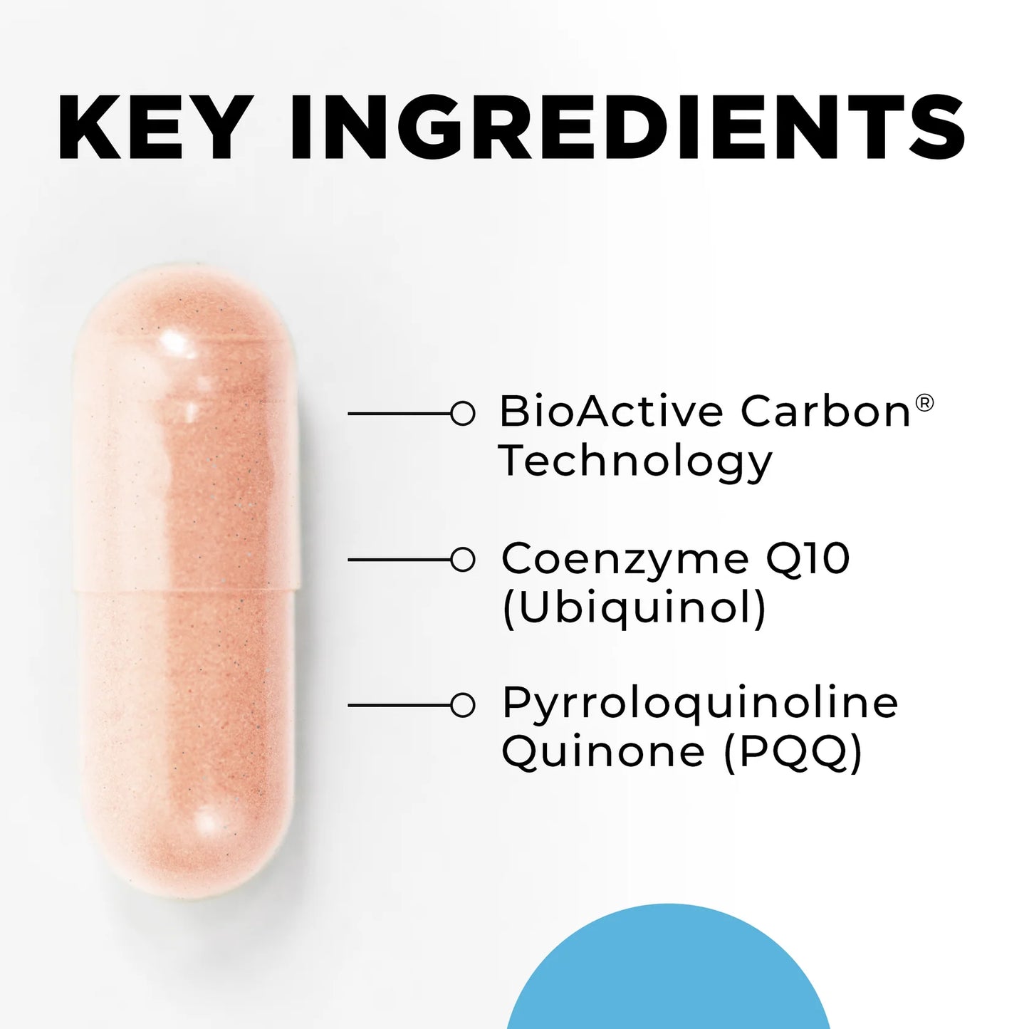 Capsule with key ingredients listed on a white background