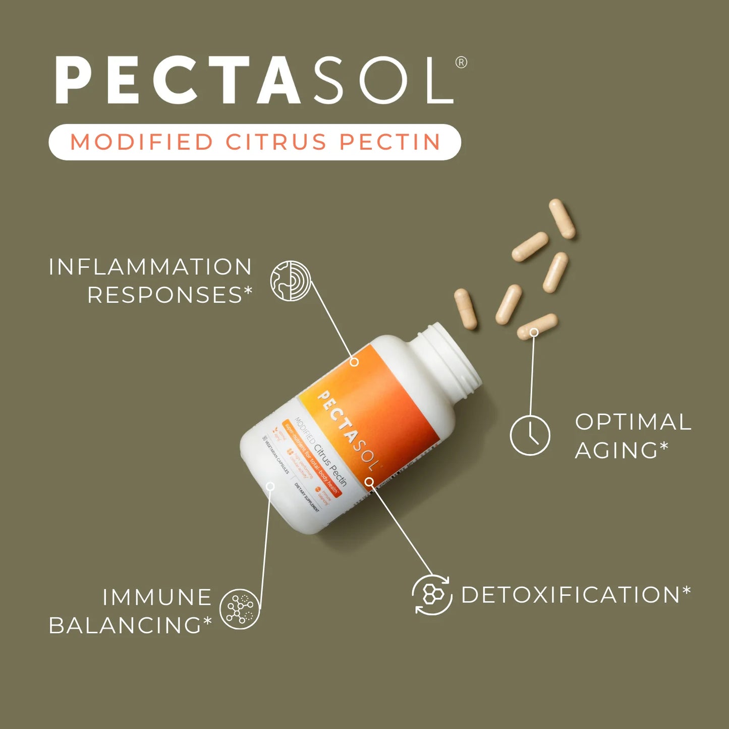 PectaSol