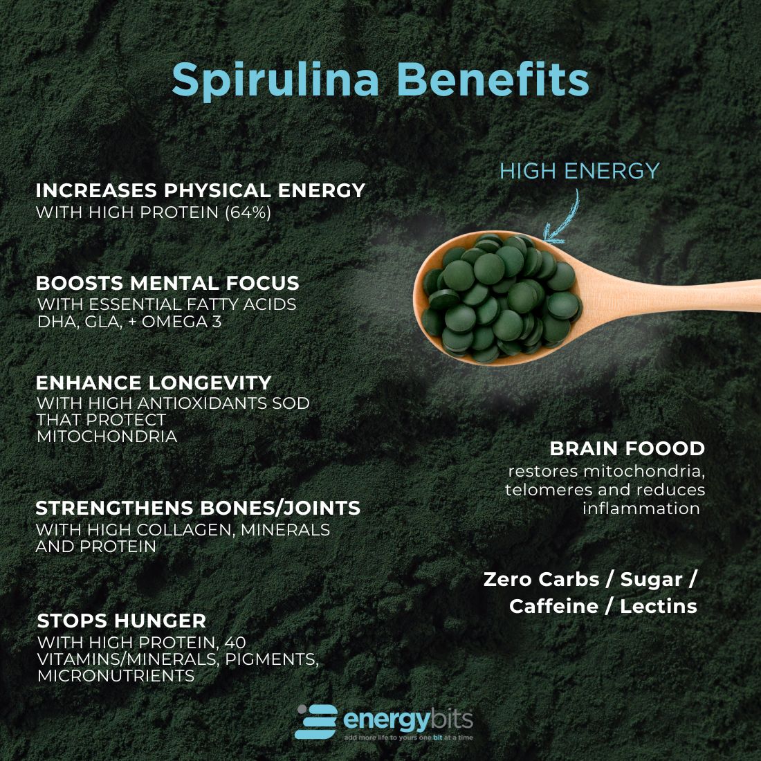 ENERGYbits® Spirulina | Small Canister