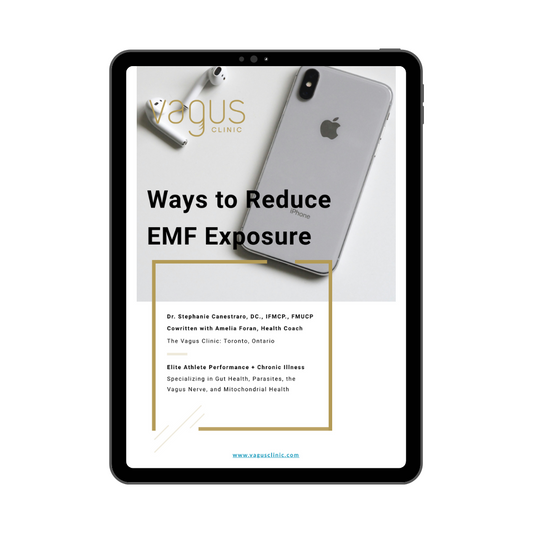 Ways to Reduce EMF Exposure Guide (Digital Download)