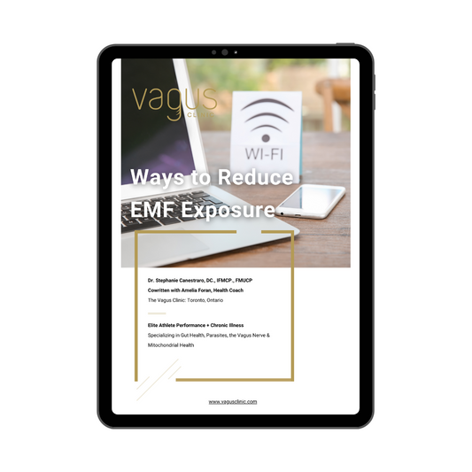 Ways to Reduce EMF Exposure Guide (Digital Download)