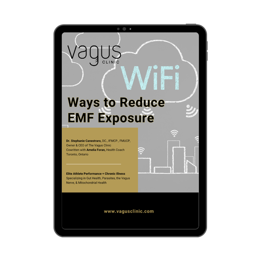Ways to Reduce EMF Exposure Guide (Digital Download)