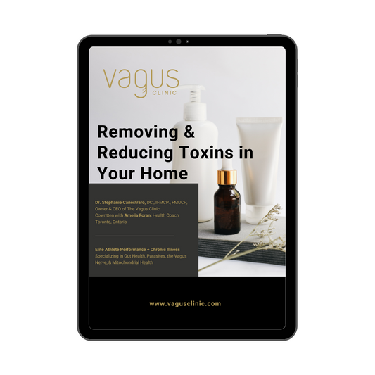 Removing & Reducing Toxins in Your Home (FREE Digital Download)