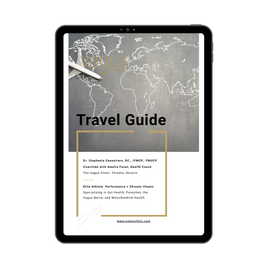 Travel Guide (FREE Digital Download)