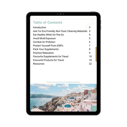 Travel Guide (FREE Digital Download)