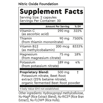 Nitric Oxide Foundation
