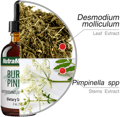 Burbur Pinella (2 oz)