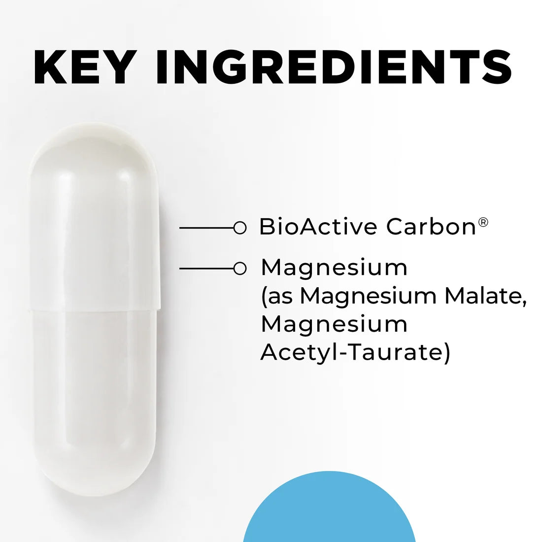 A white capsule-shaped supplement container shown next to text reading 'KEY INGREDIENTS' with 'BioActive Carbon' and 'Magnesium (as Magnesium Malate, Magnesium Acetyl-Taurate)' listed on a white background.