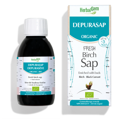 Depurasap - Fresh Birch Sap (250 ml)