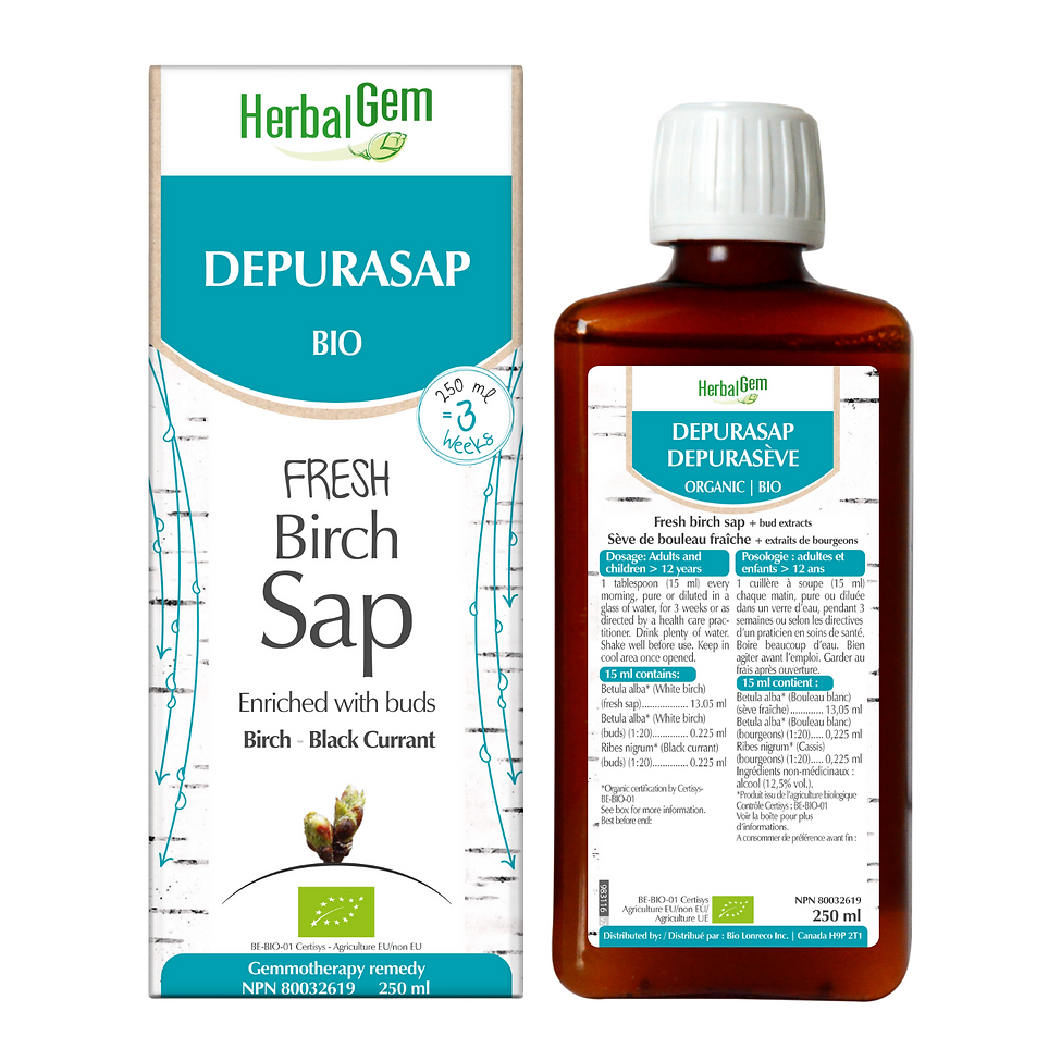 Depurasap - Fresh Birch Sap (250 ml)