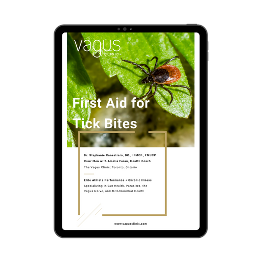 Tablet displaying a Vagus Clinic eBook on first aid for tick bites with an image of a tick on a leaf.